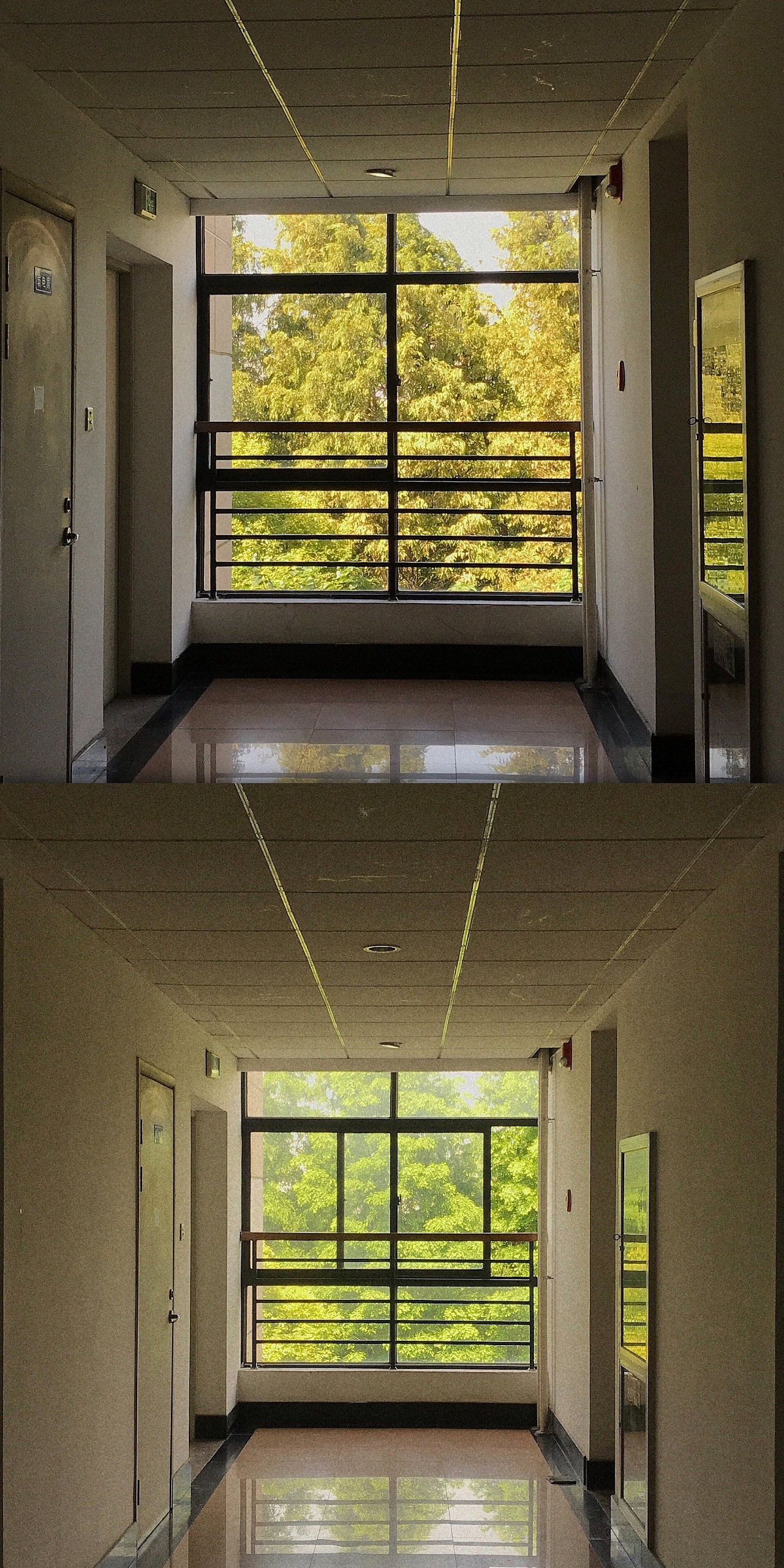 宿舍楼道的四季