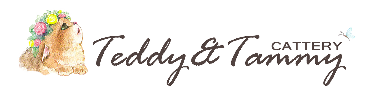 原创手绘水彩插画风格logo（图ZMjg2NTE5MTk2） - 创作习作 - 站酷设计师7pori原创素材 - 站酷ZCOOL