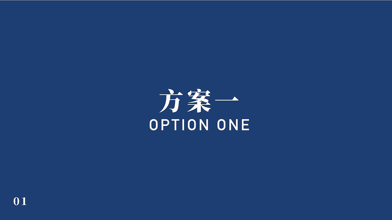 舜感光电LOGO设计