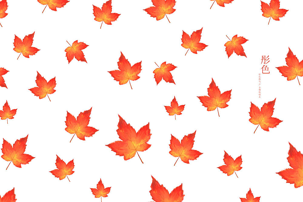 手绘枫叶彤色