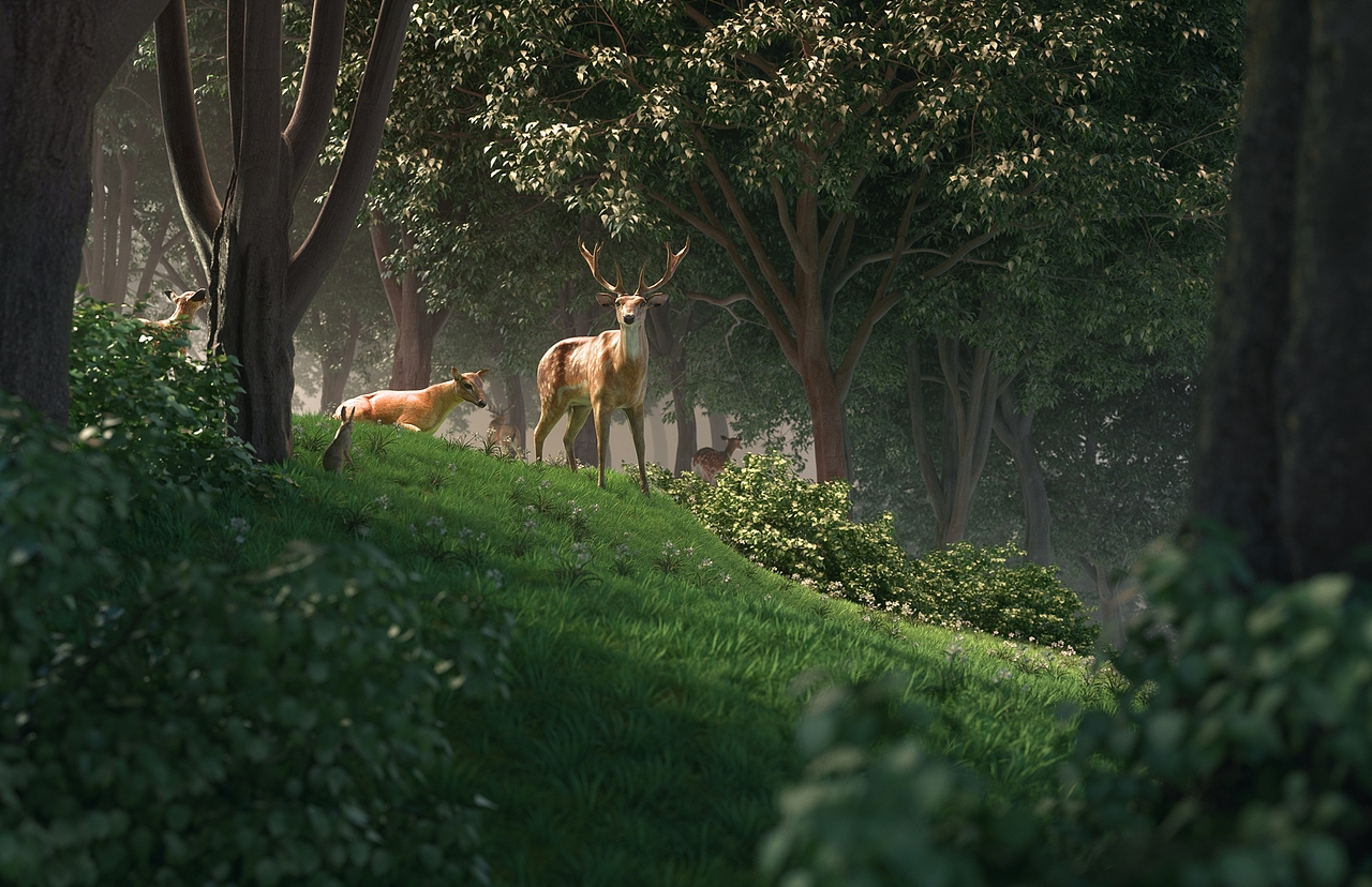 OC第十四期学员作品——NiaoNiao的C4D课堂（下)（图ZMjU1OTk5ODg0） - 场景 - 站酷设计师我就是NiaoNiao原创素材 - 站酷ZCOOL