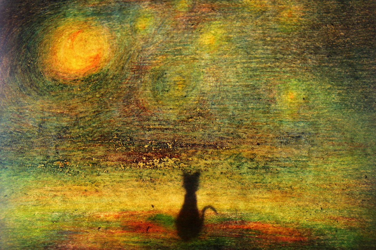 一只黑猫在自己的世界里观赏着自己认为最美的月亮