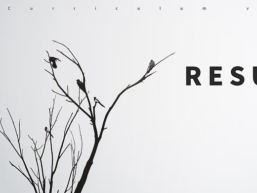 网页首页习作合集