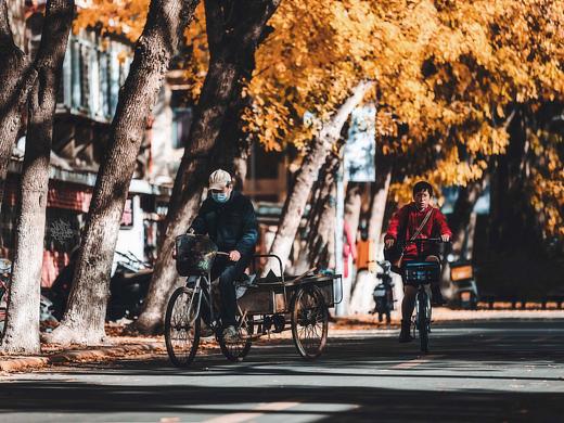 城市猎人/Looking for