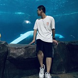 DP大潘的头像