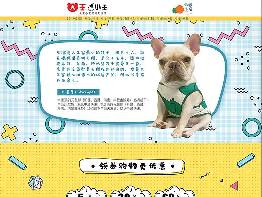 宠物用品首页