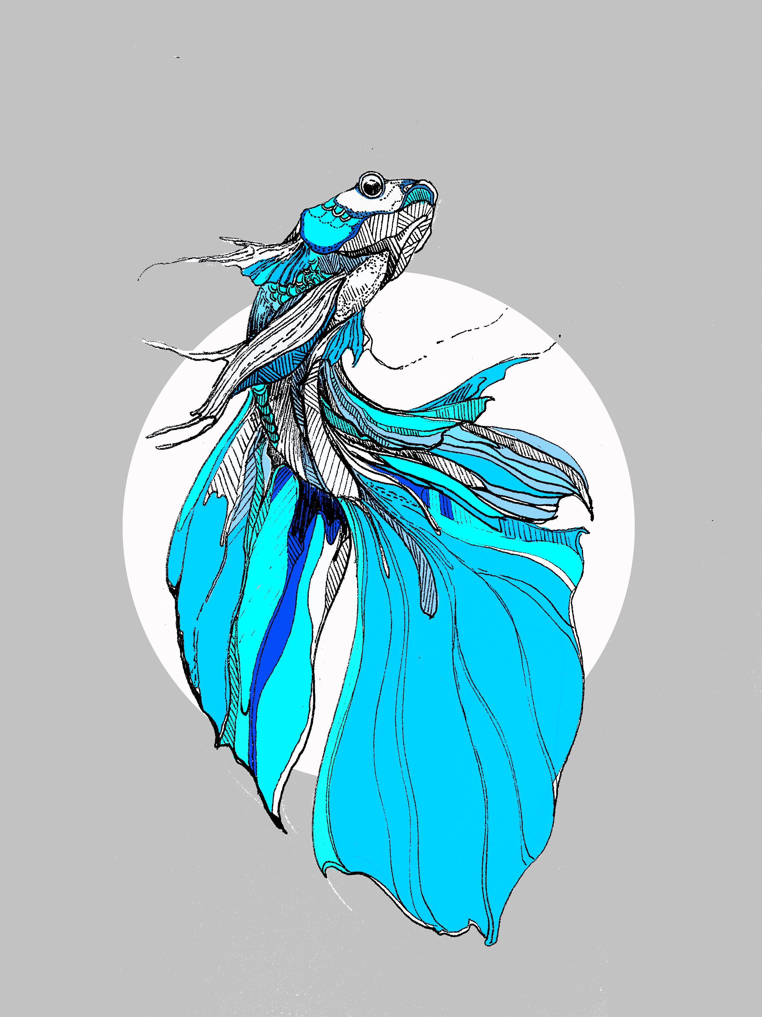 斗鱼|插画|创作习作|frankzou - 原创作品 - 站酷 (zcool)