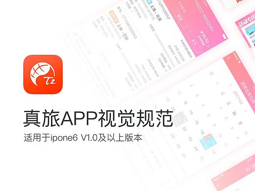 真旅APP