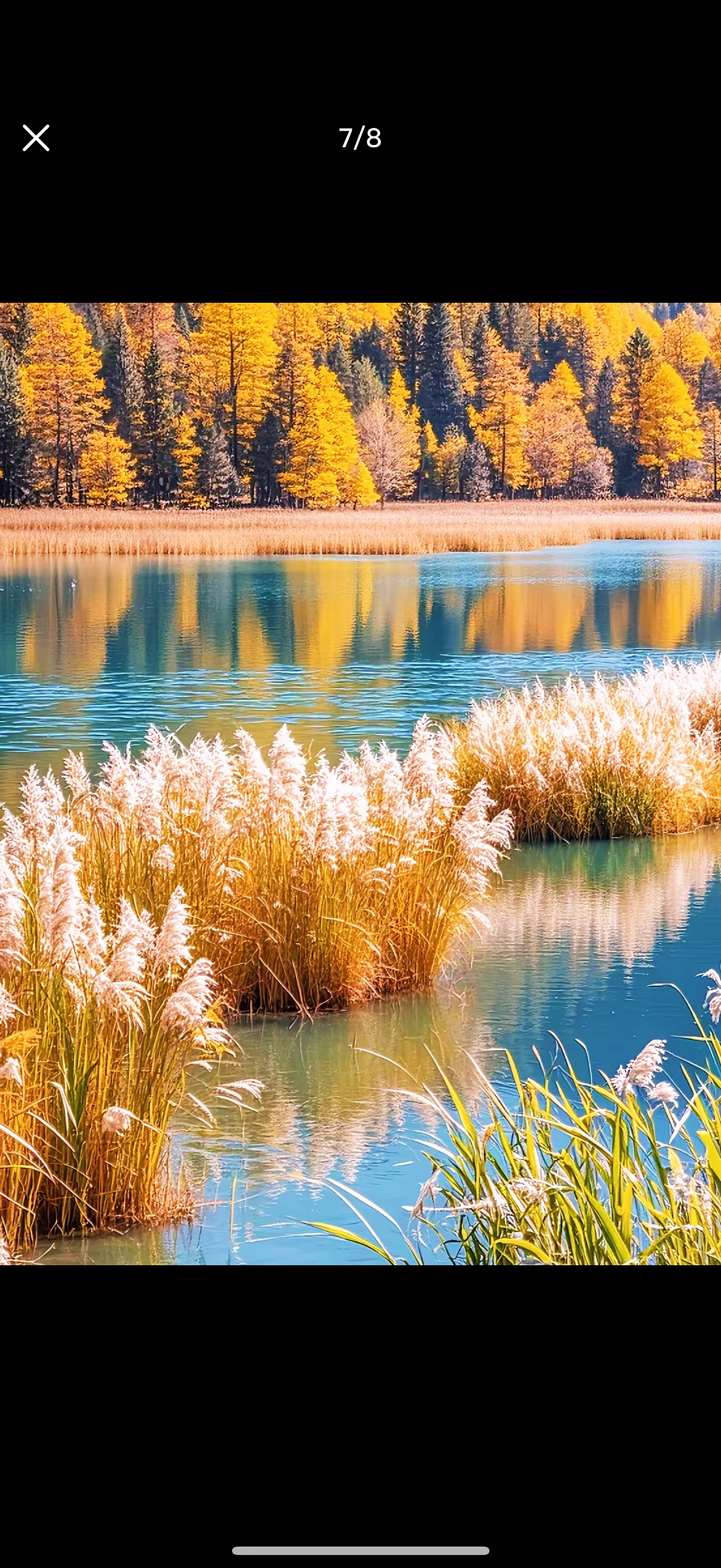 这绝美神颜无滤镜修图美景，啥也不说了，自己看吧…