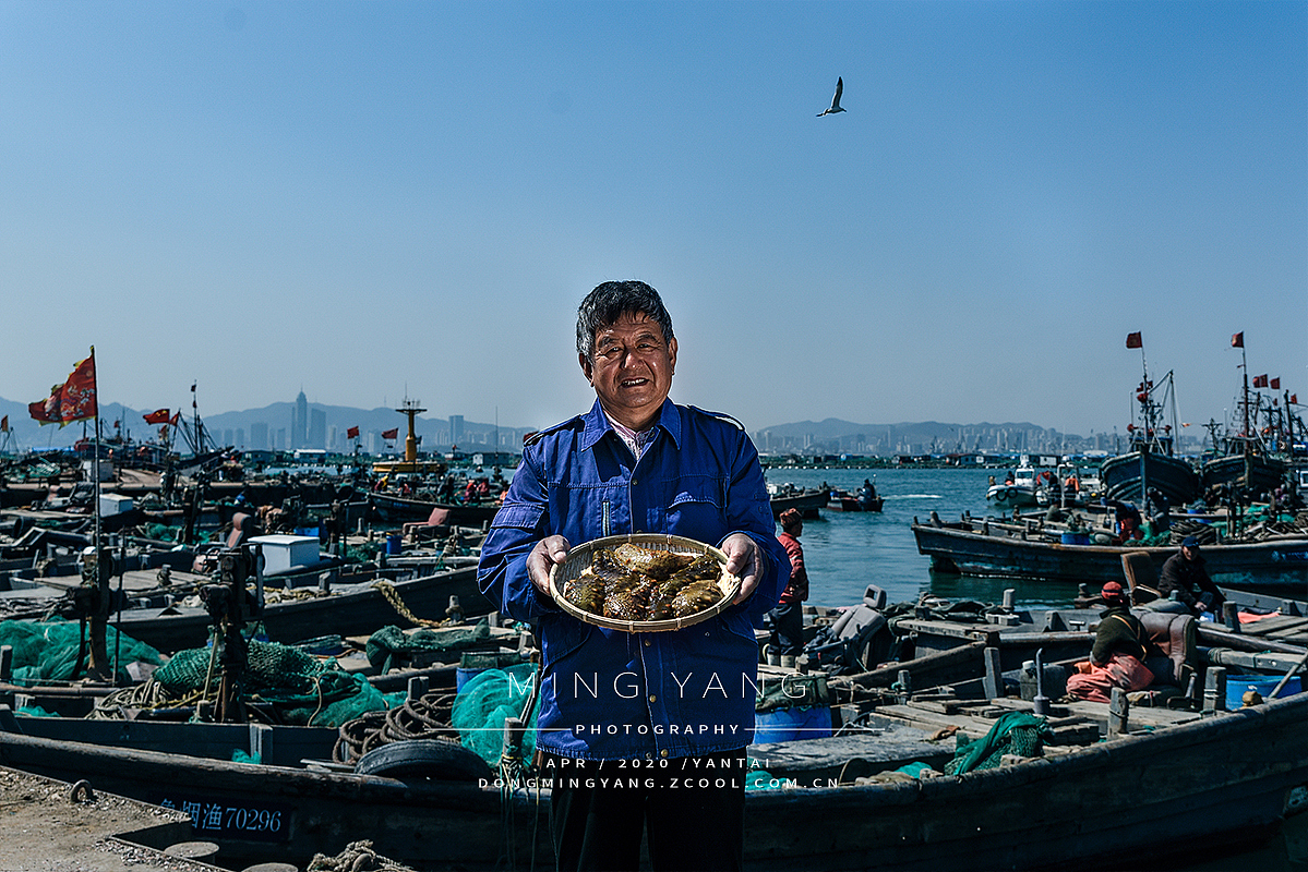 古法工艺海参（图ZMjEyMTI1MTk2） - 产品摄影 - 站酷设计师摄影师董名扬原创素材 - 站酷ZCOOL