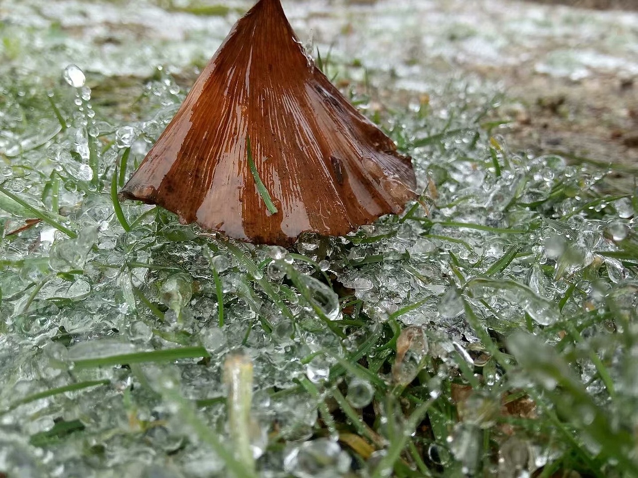 晶莹剔透般的童话世界