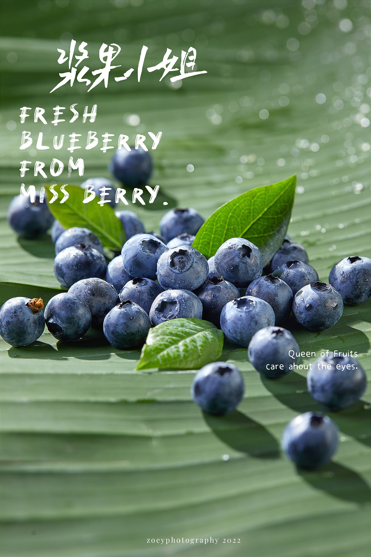 蓝莓（图ZMjkzMzQ4MjE2） - 美食摄影 - 站酷设计师海岛华映静物摄影原创素材 - 站酷ZCOOL