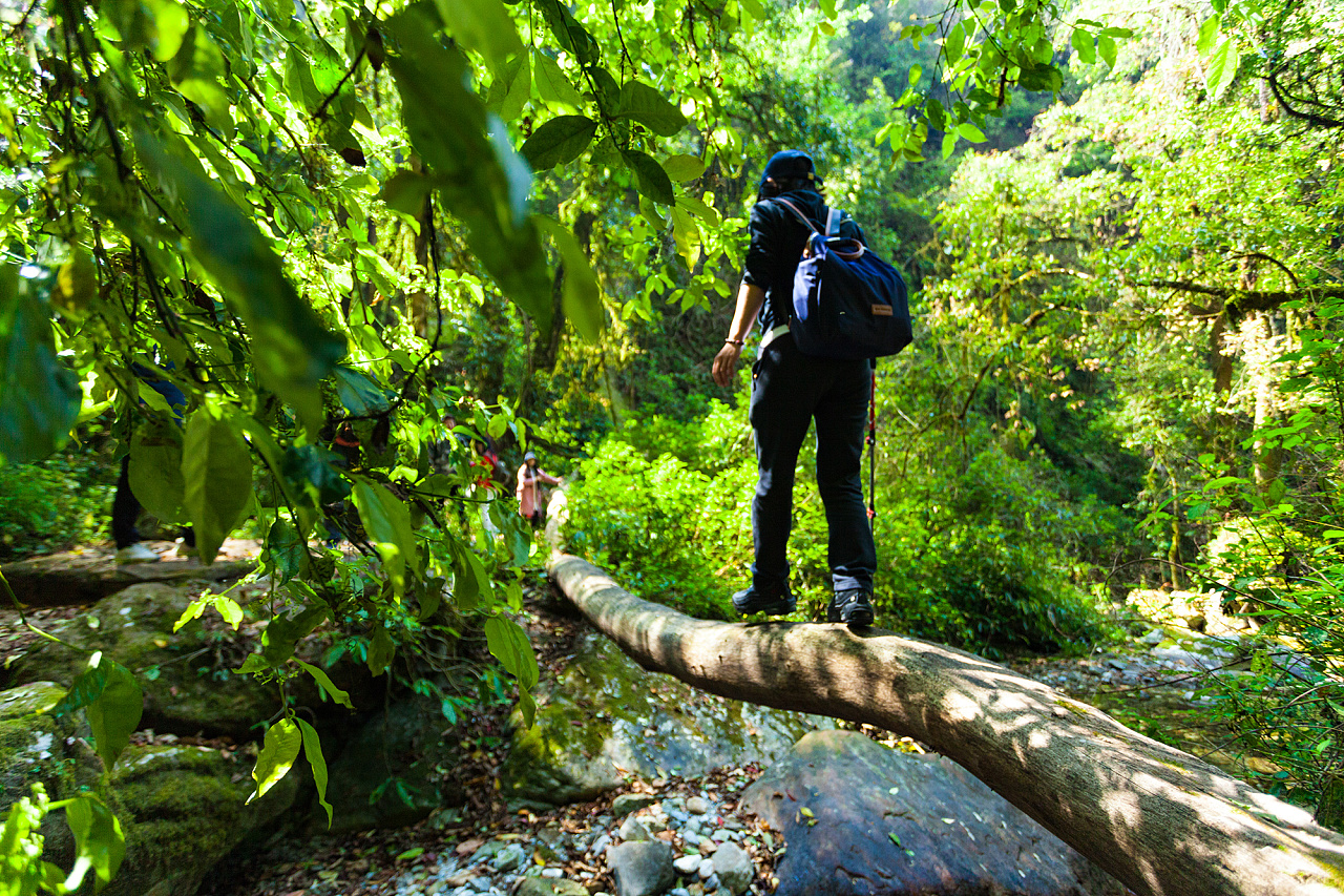 高黎贡山"五道溪"听云观瀑