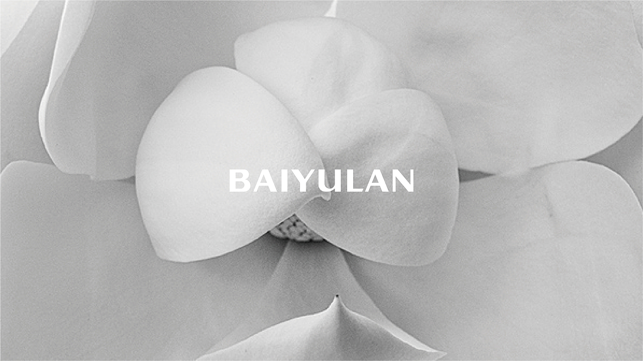 上海白玉兰橱柜家居品牌标志设计（图ZMjQzNDQ1NzQ4） - Logo - 站酷设计师上喆创意原创素材 - 站酷ZCOOL