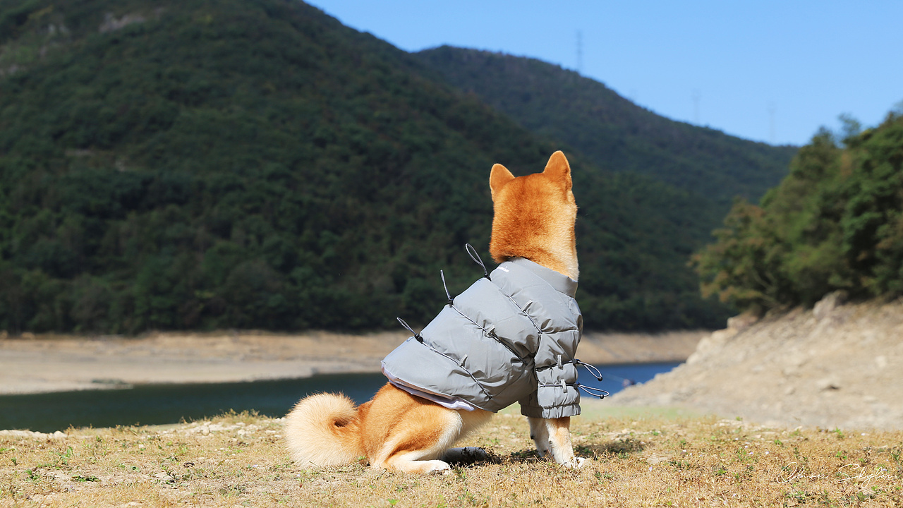 飘里的冬日~