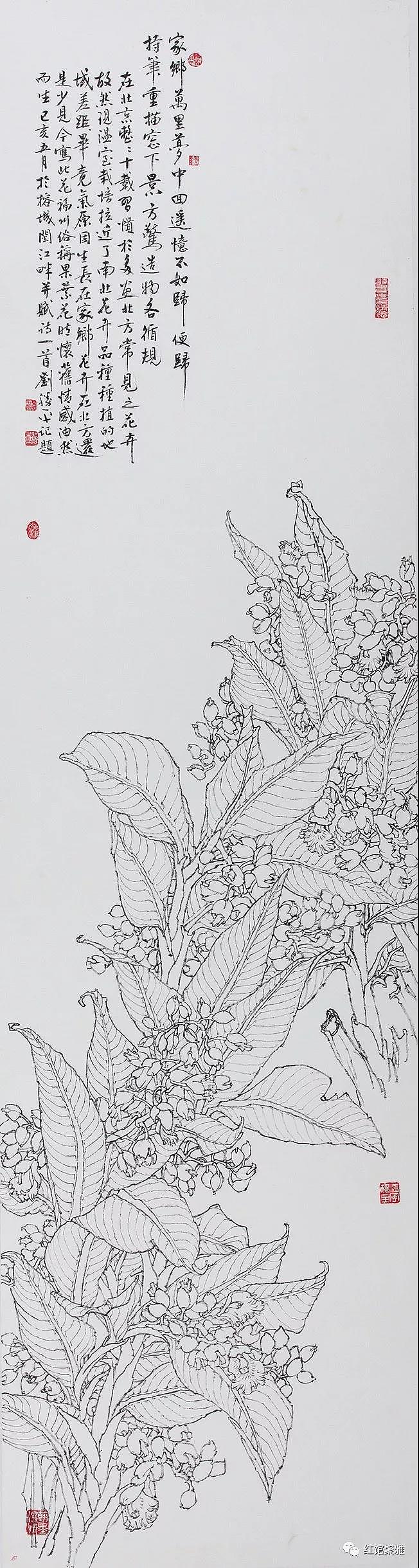 粿叶花
家乡万里梦中回,遥忆不如归便归。<br>挂笔重描窗下景,方惊造物各循规。