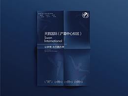 天鹅国际系列设计