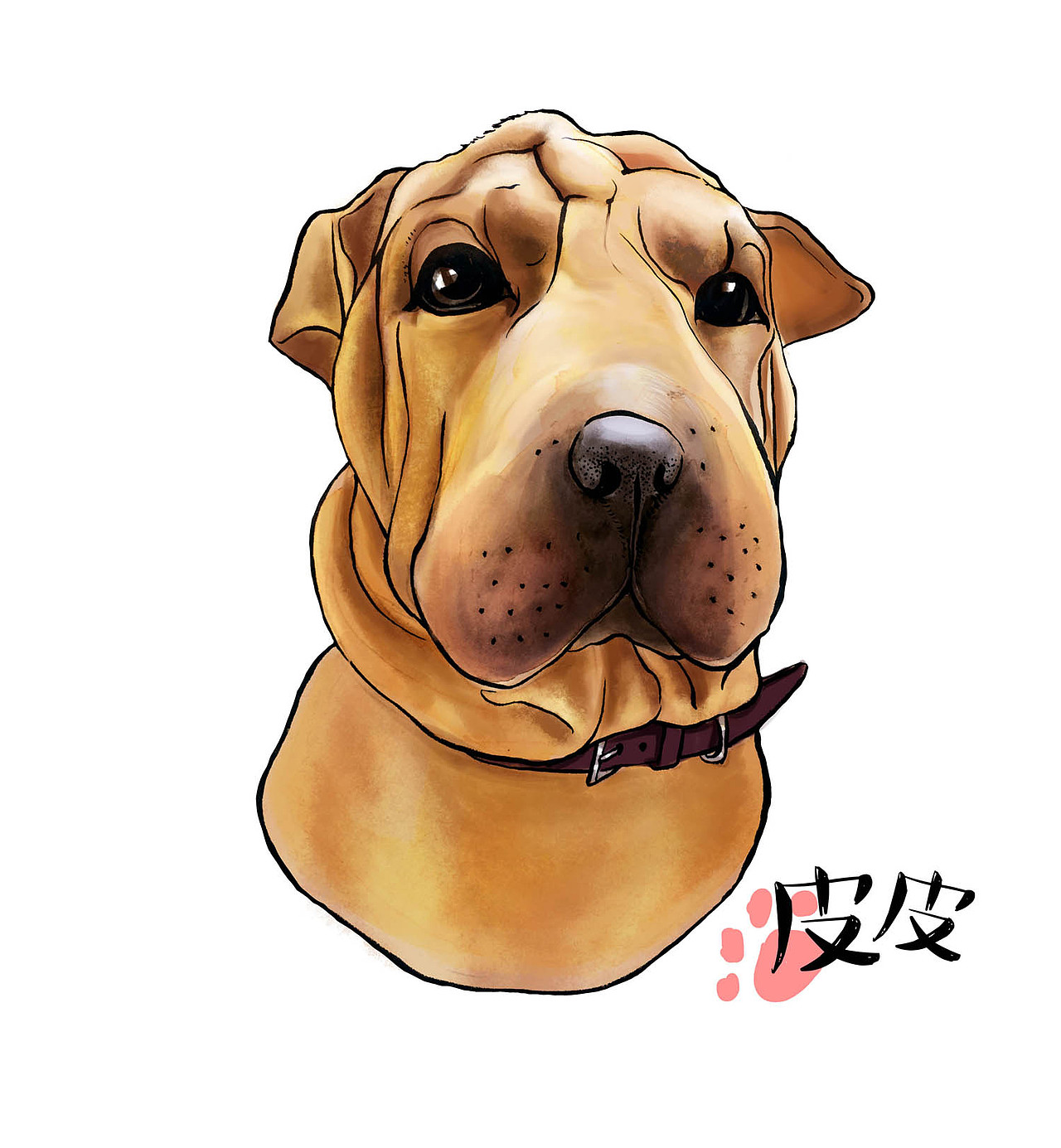 【沙皮狗】皮皮  br> br>