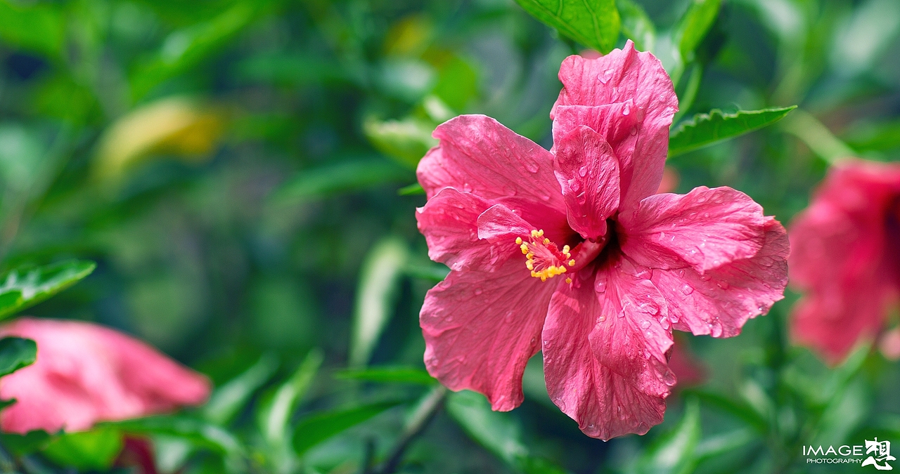 《小家院落》_想·享摄影