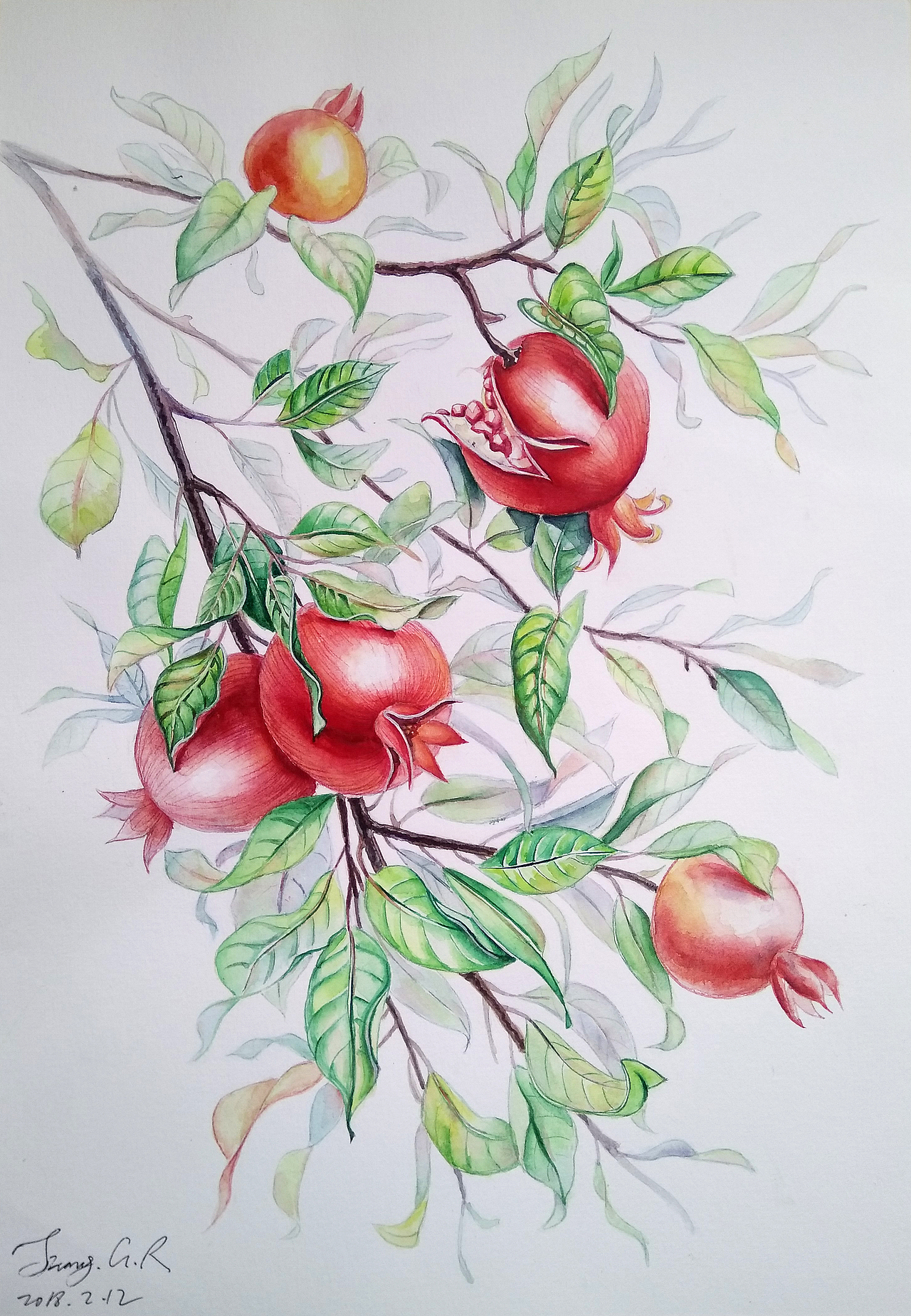 石榴: br>白夜 36色 艺术家 固体水彩 br>1557  300g 水彩纸