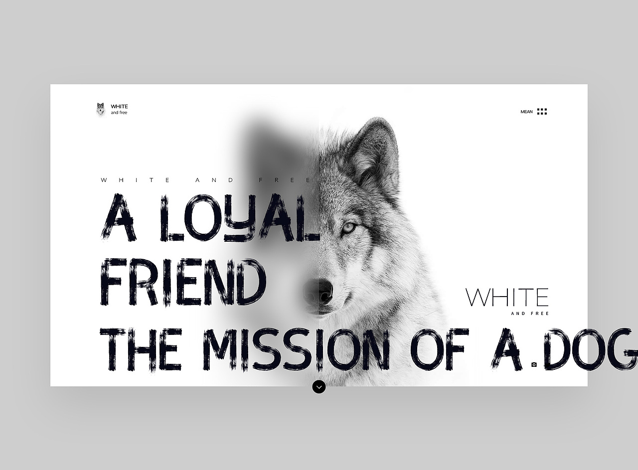 视觉版式设计精选合集#05#