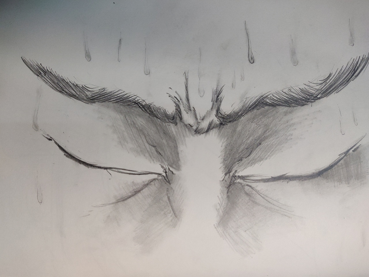 作品集