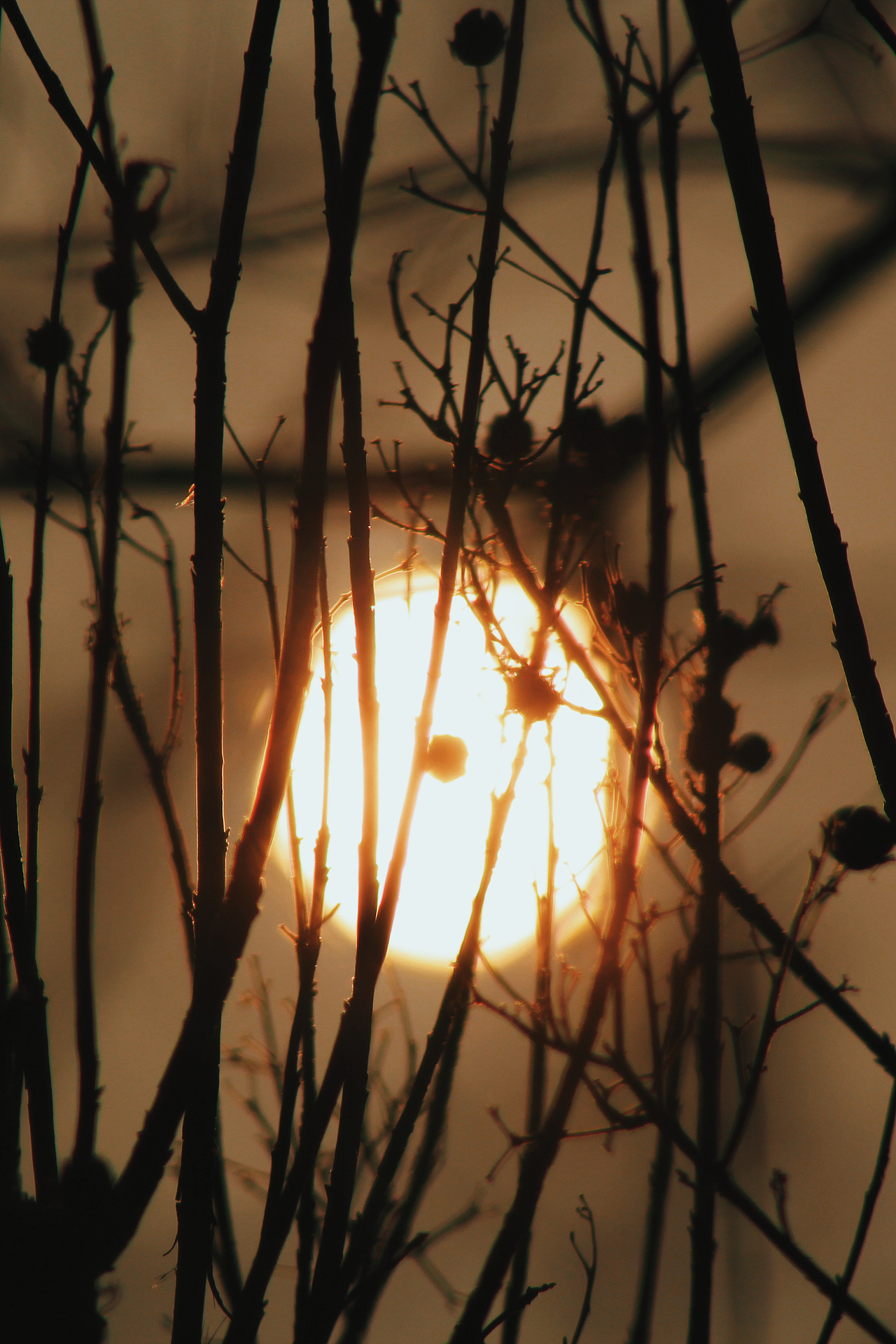 阴天时分的夕阳