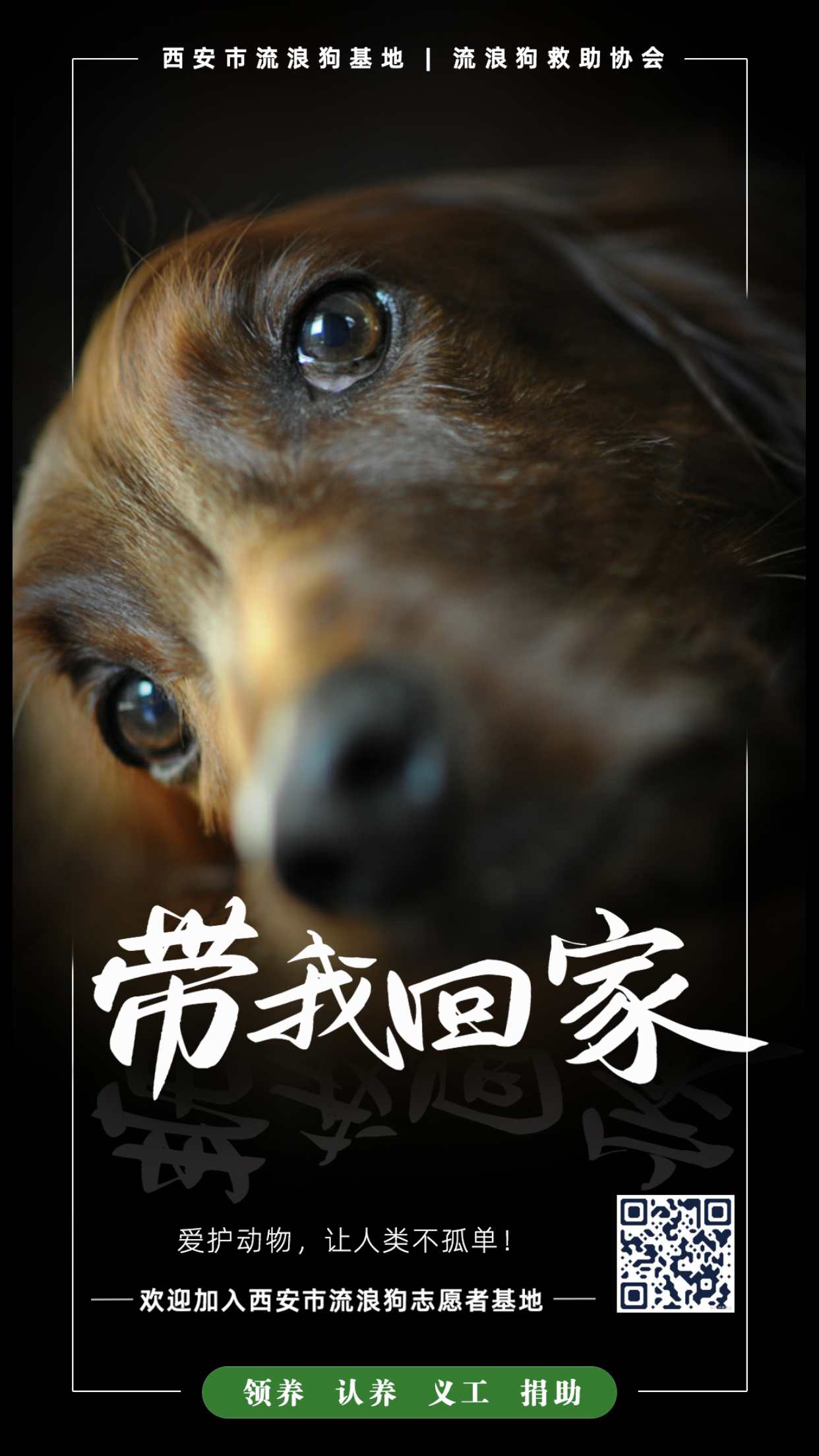 保护动物|平面|海报|Yao大飞 - 原创作品 - 站酷 (ZCOOL)