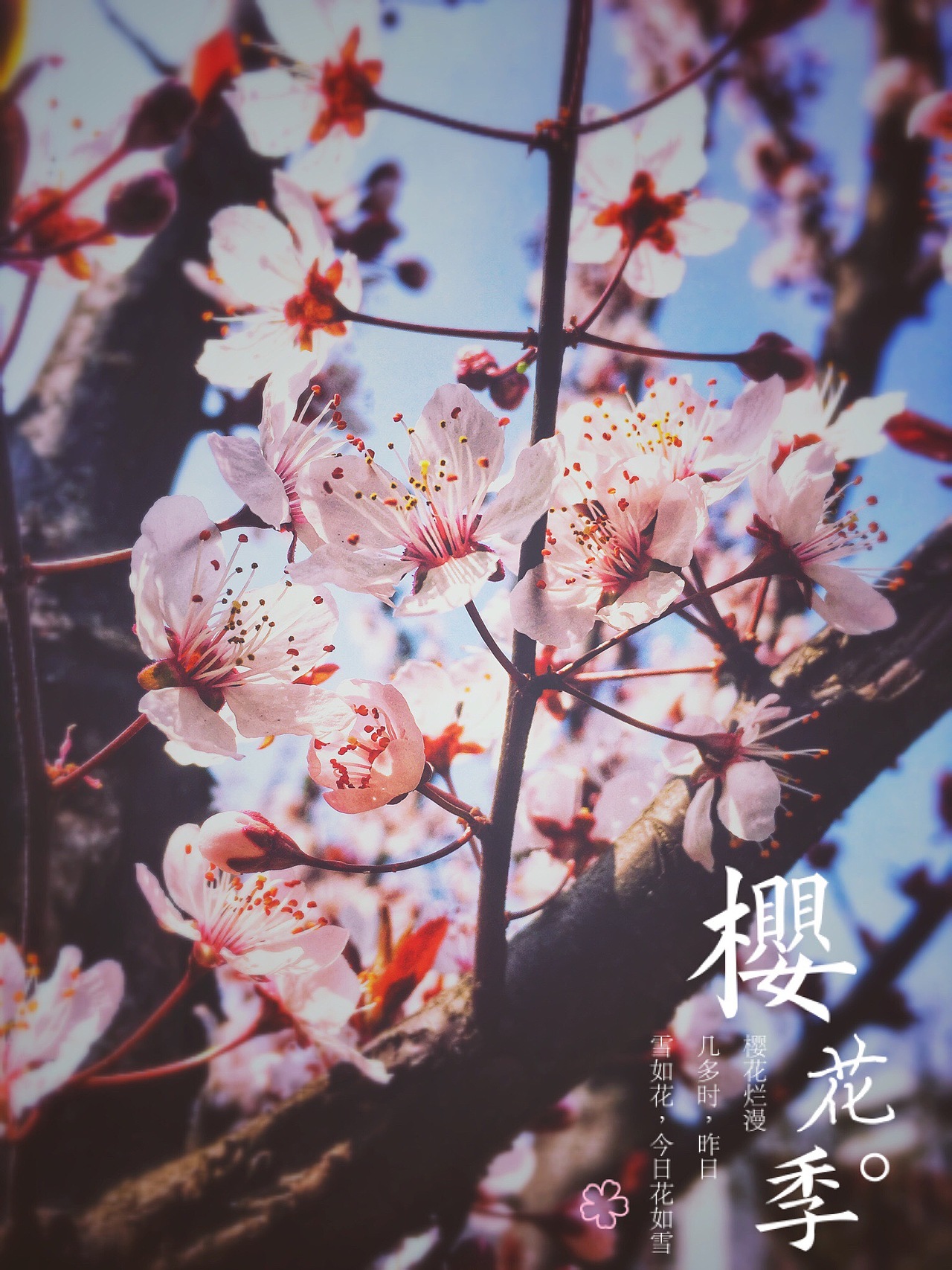 春（图ZMTUwMzg2OTg0） - 人文/纪实摄影 - 站酷设计师花花Style原创素材 - 站酷ZCOOL