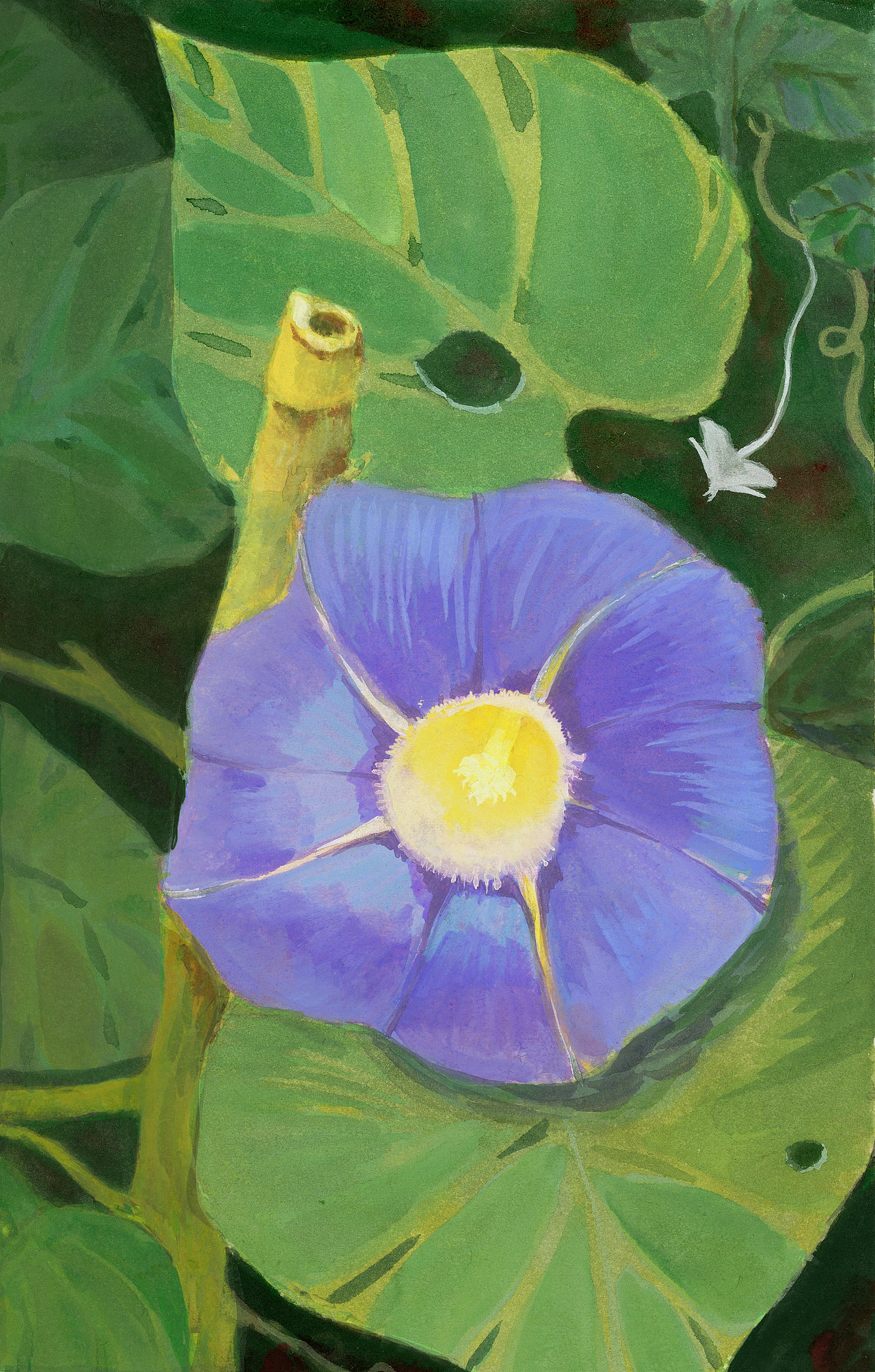 一些绿色系作品（图ZMjY1NDEyOTQ4） - 商业插画 - 站酷设计师酉木_umu原创素材 - 站酷ZCOOL