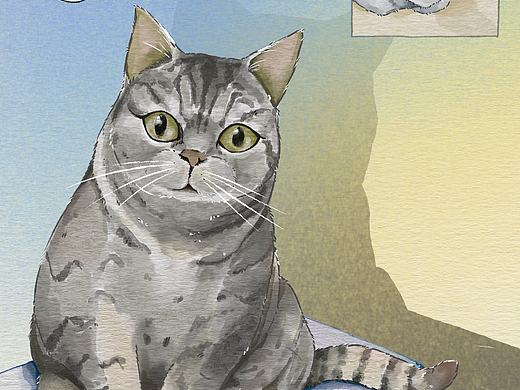 视频通话的小猫咪