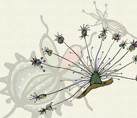 许下心愿。包在花苞里。开出每一朵神秘的浪漫