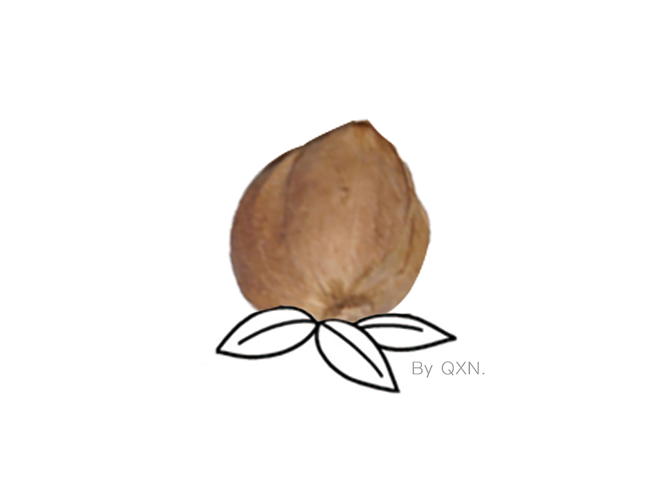 中药也能萌萌哒【创意画三】（图ZNjA4MTQ0OTI=） - 艺术插画 - 站酷设计师冬天吃西瓜原创素材 - 站酷ZCOOL