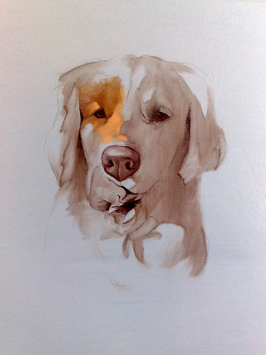Golden Retriever（图ZNjg2ODA0NA==） - 艺术插画 - 站酷设计师winhooo原创素材 - 站酷ZCOOL