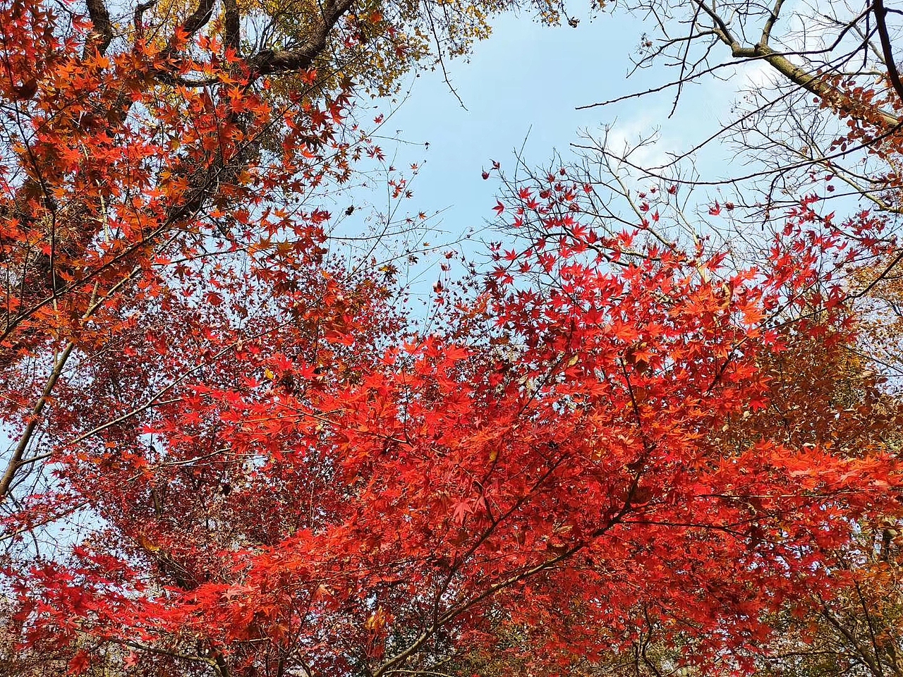 自是不一样的风光无限（图ZMjA5MTA2NzI4） - 风光摄影 - 站酷设计师l9lol9l原创素材 - 站酷ZCOOL