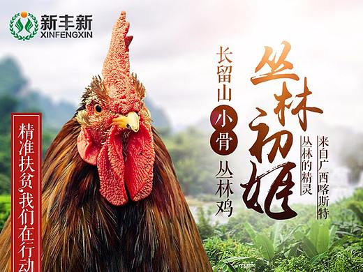 淘宝京东农家土鸡众筹设计