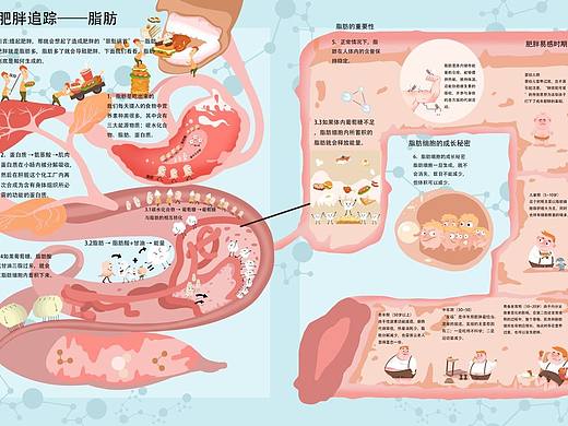 《揭秘肥胖》
