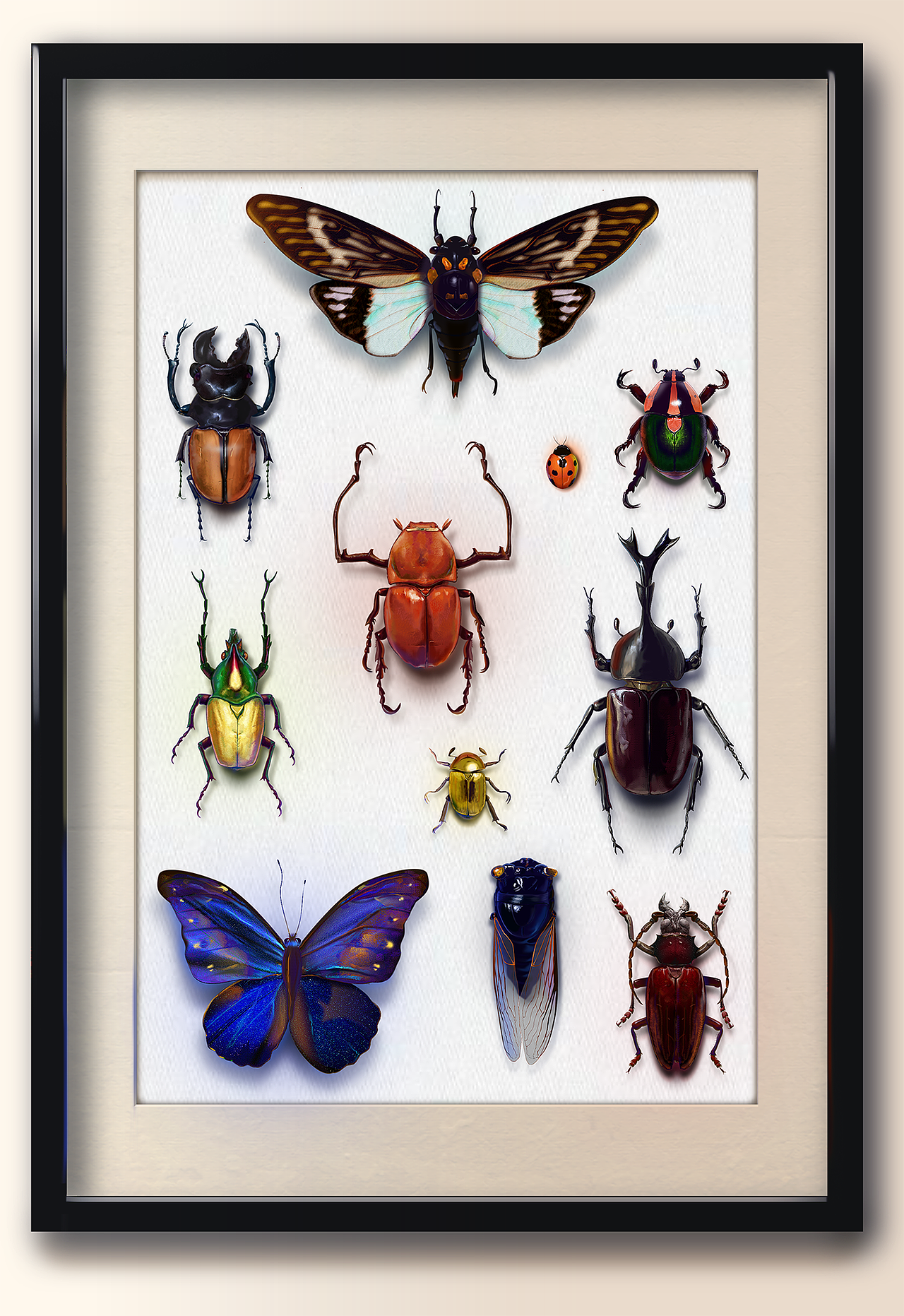 昆虫标本（图ZNjQxMjczNDQ=） - 交互/UE - 站酷设计师炒粉不加冰原创素材 - 站酷ZCOOL