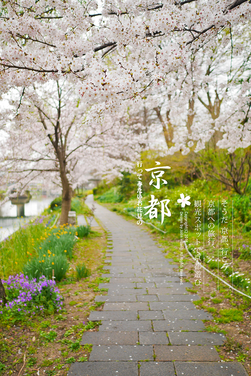 這些 那些 櫻花（图ZNDY5NTUyNzY=） - 风光摄影 - 站酷设计师jolinivy原创素材 - 站酷ZCOOL