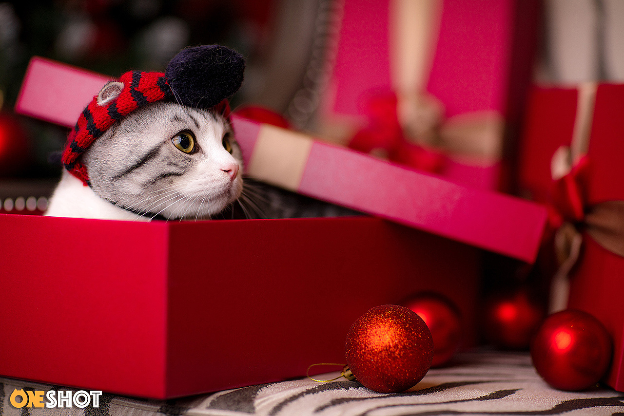 2018圣诞合集第一弹丨你的圣诞礼物又到啦!