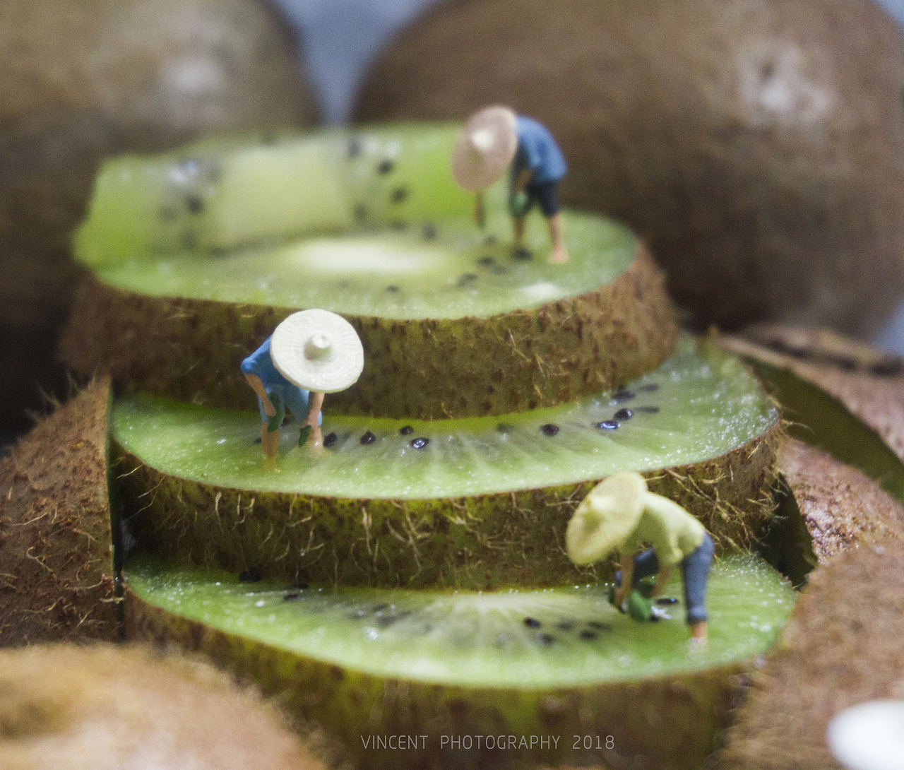 小人的日常摄影|微观视界vct