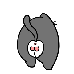 一只动漫猫的表情包图片