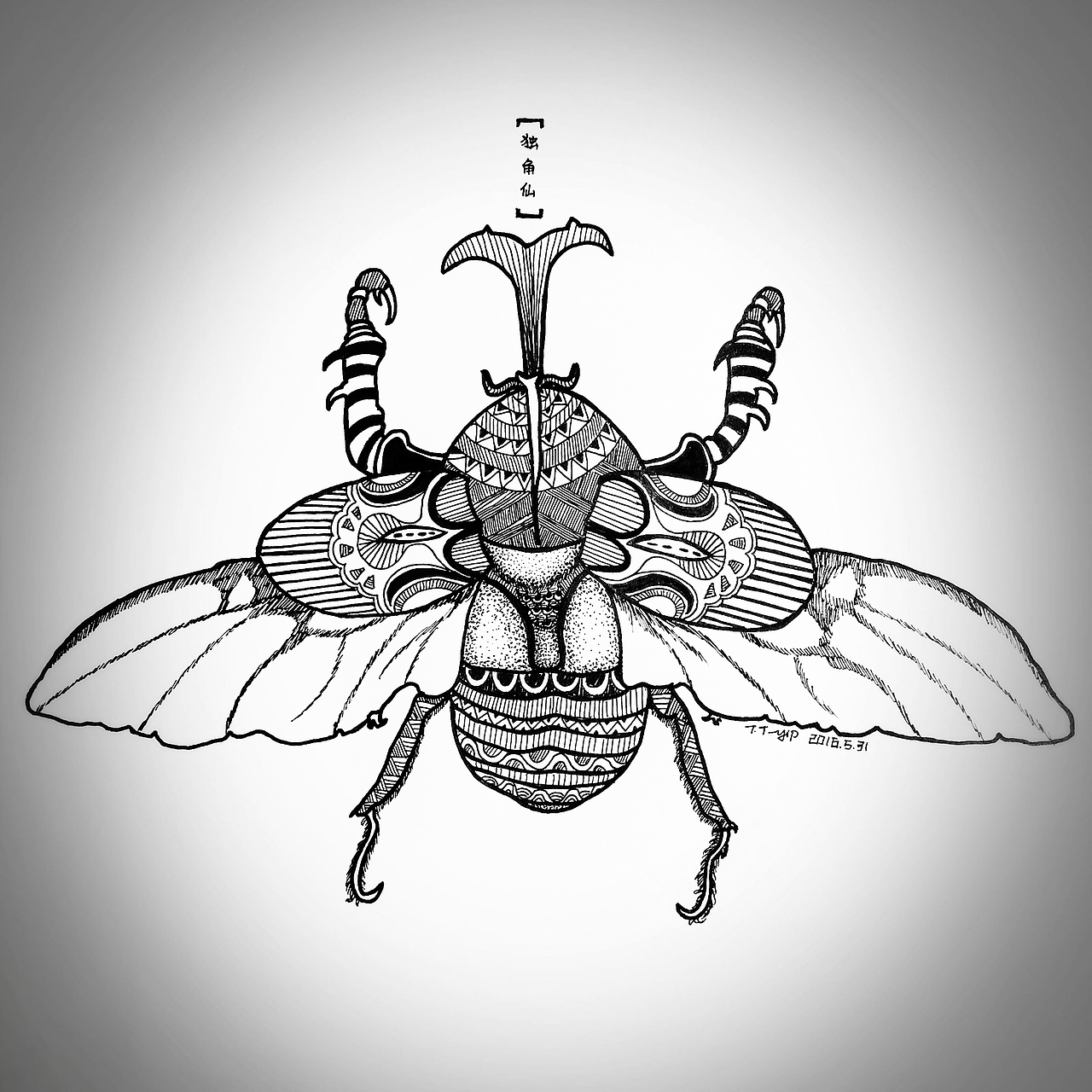 【 独角仙 】|插画|创作习作|tt_蜻蜓_原创作品-站酷zcool