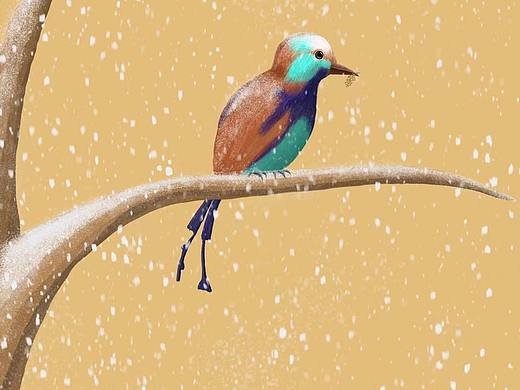 雪景观鸟图