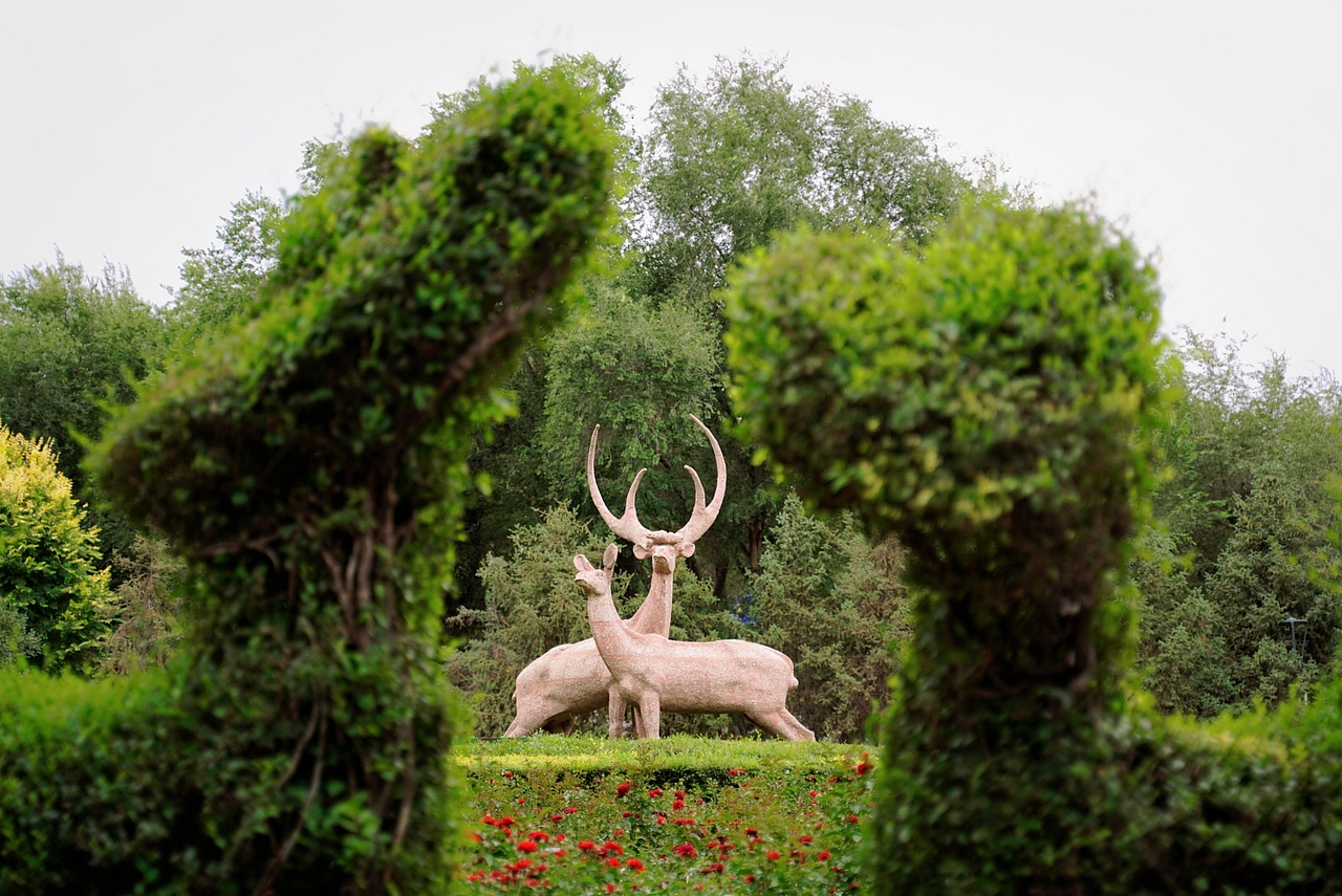 新疆乌鲁木齐红山公园