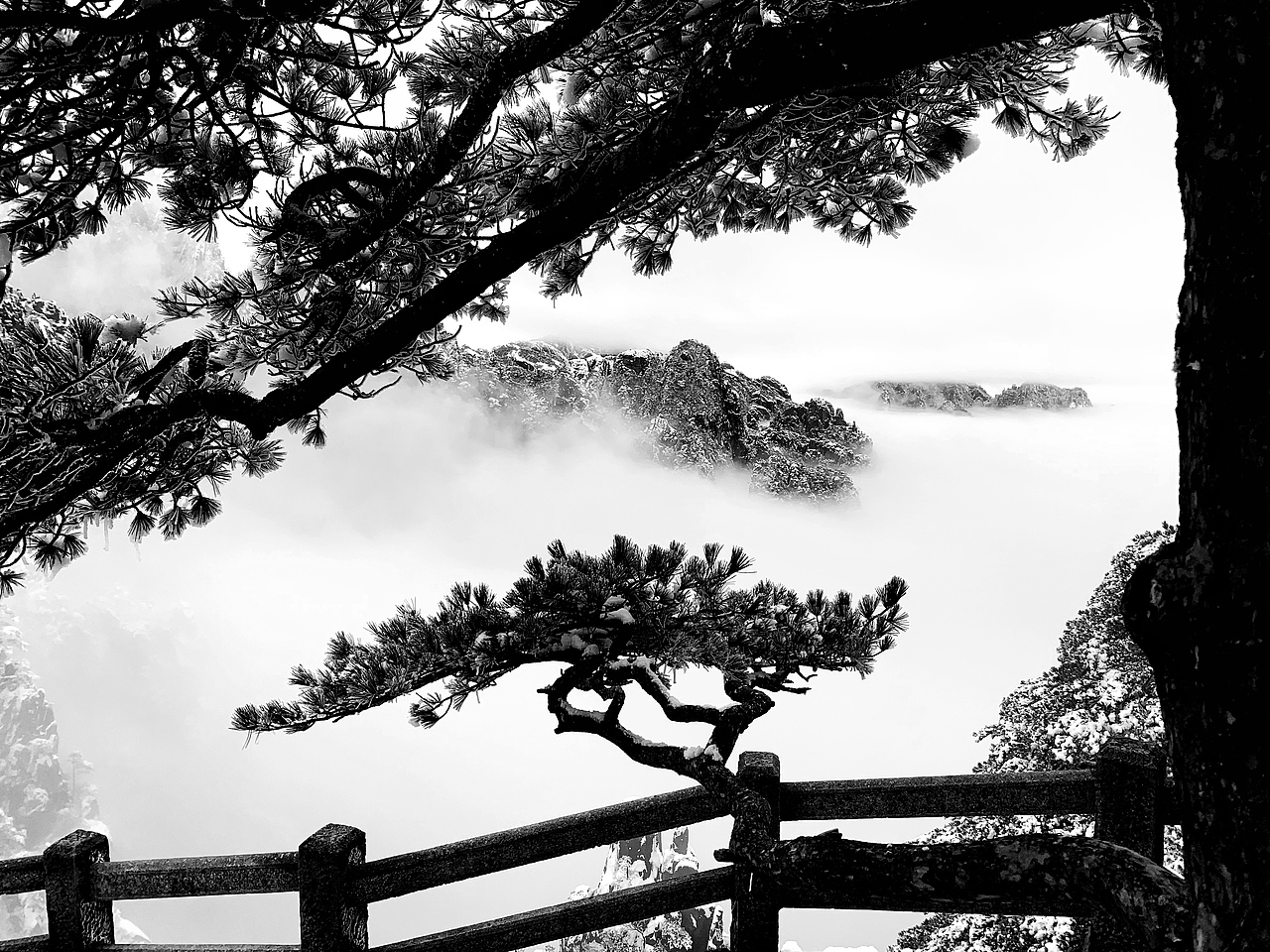 黄山-排云亭