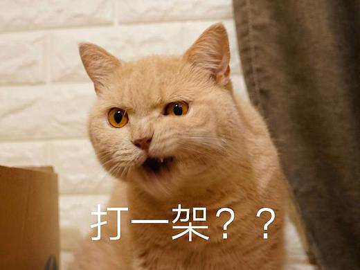 logo（个人主页-ZMzQ0MzI0NjA=） - 品牌 - 站酷设计师ALITA翼原创素材 - 站酷ZCOOL