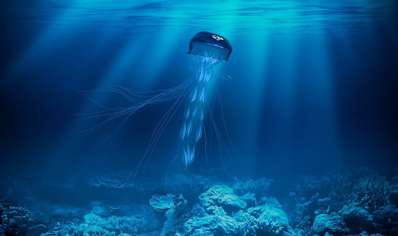 oppo主题壁纸设计大赛【水母-绽放无边】