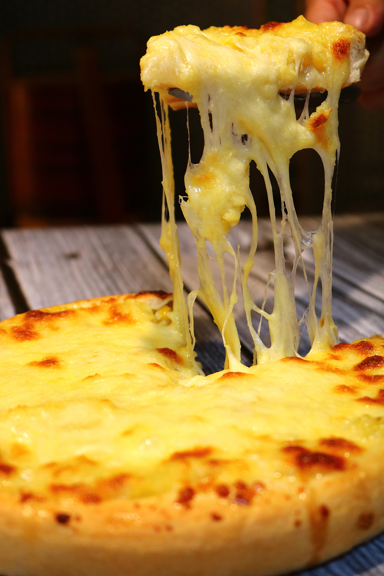 VI设计 LOGO 西餐厅VI设计 西餐厅LOGO 轻食VI设计 VI