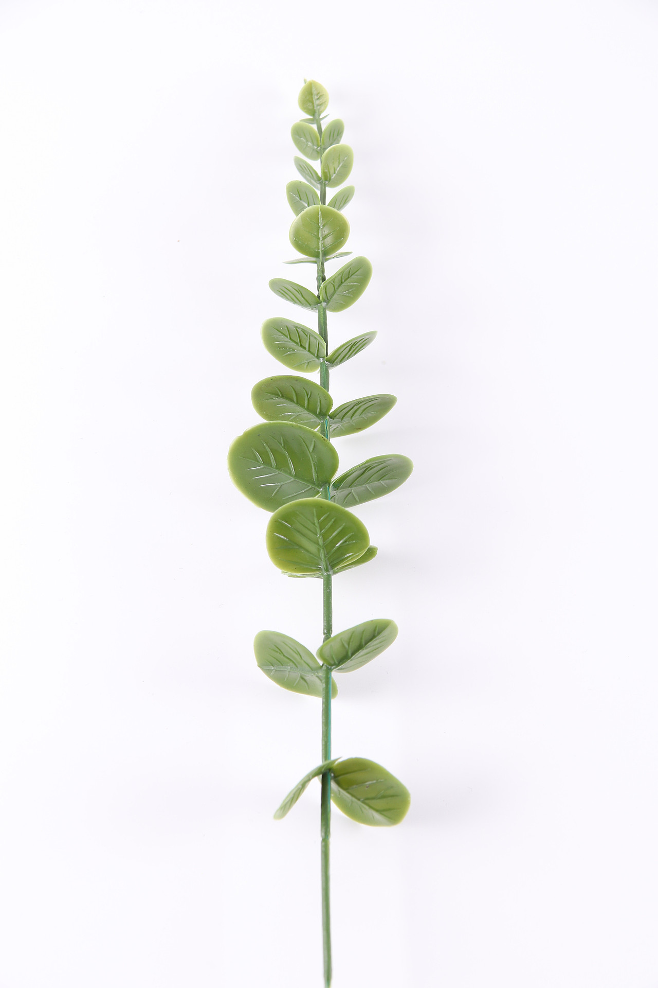 B03家居饰品\C11-仿真饰品\V06仿真尤加利叶X1